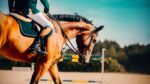 Reitsport